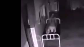 El video fue grabado por cámaras de seguridad.