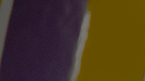 Alma Hernández es la primera latina en ser directora ejecutiva del Sindicato Internacional de Trabajadores de los Servicios (SEIU) en California. (foto suministrada).Alma Hernández es la primera latina en ser directora ejecutiva del Sindicato Internacional de Trabajadores de los Servicios (SEIU) en California. (foto suministrada).