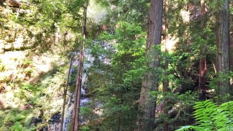 cal hike