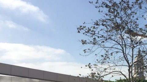 Decenas de manifestantes se aglomeraron afuera del cuartel del LAPD para protestar por un controversial tiroteo ocurrido en Sur LA.
