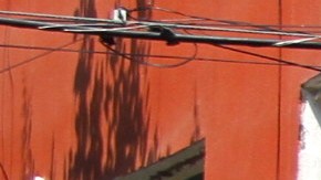 El edificio de Altata 12 en la colonia Condesa.