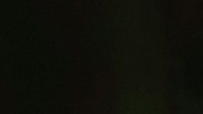 Axl Rose bromeó en el escenario sobre la posesión de la pistola, asegurando que no era suya.