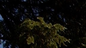 The California state Capitol building