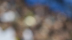 Se dice que Lucas Silva no pasó los exámenes del Sporting de Lisboa.