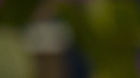 A Guarianthe  is seen during the XLI Exhibition of Orchids in Guatemala City on February 6, 2015. AFP PHOTO Johan ORDONEZ        (Photo credit should read JOHAN ORDONEZ/AFP/Getty Images)