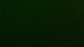 Este nuevo dibujo se une a la gran cantidad de tinta que ya adorna el cuerpo de Miley.