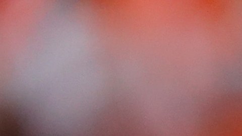 Tom Brady definitivamente no jugará los primeros cuatro juegos de los Patriots en 2016, poniéndole fin a la novela del "Deflategate".