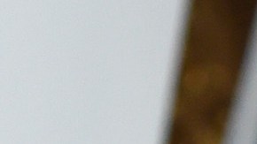 Sofía Vergara celebró su 44 cumpleaños rodeada de su familia.