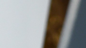 Sofía Vergara celebró su 44 cumpleaños rodeada de su familia.