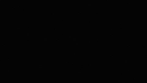 Laurie Hernández nació en Nueva Jersey y sus padres son puertorriqueños.