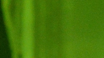 Rihanna advirtió durante su pasado concierto en Lille, Francia, que "no quería ver a nadie cazando Pokémon".