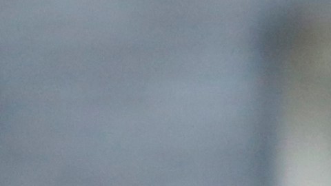 La moda de la aplicación Pokémon Go ha llegado también a las redes sociales, donde aparecen sin cesar memes y bromas, muchas veces de mal gusto.