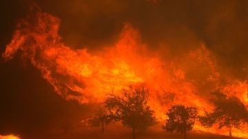Las llamas se cierran sobre las casas cerca de Santa Clarita, en California.