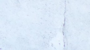 El bar “El Troquero” ha tenido mala reputación en la comunidad por años./ISAIAS ALVARADO