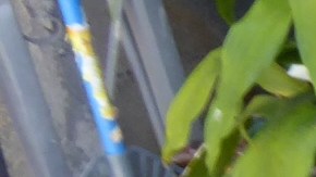 La señora María no ha podido legalizarse por un número incorrecto en un acta de nacimiento que presentó a las autoridades migratorias desde la década de 1980.