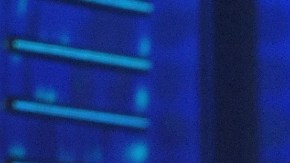 El colombiano recogió el premio a la mejor armada de fans.