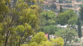 La població se ve afectad por los bloques de los maestros disidentes.