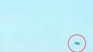 Utilizando una base de datos en internet, cualquier persona puede reportar un avistamiento