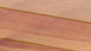 La bacteria estaba una salsa de queso.