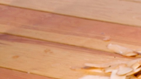 La bacteria estaba una salsa de queso.