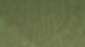 Enrique Peña Nieto,