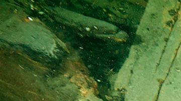 Los restos de "Kronan" en el fondo del mar Báltico de la costa sur sueca.