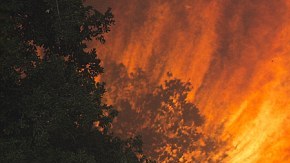 El incendio Sand ya consumió más de 37,000 acres de terreno y está controlado en un 25%. /GETTY IMAGES