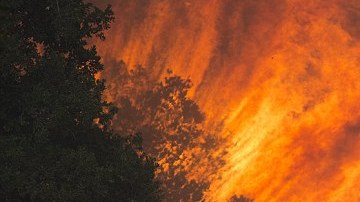 El incendio Sand ya consumió más de 37,000 acres de terreno y está controlado en un 25%. /GETTY IMAGES