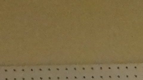 Raphael Cosme Jr., junto a Steve Pazenski, el coordinador de arte del Festival de Godzilla.