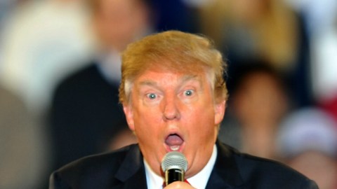 Pitbull no ha dudado en cargar duramente contra el candidato republicano Donald Trump.