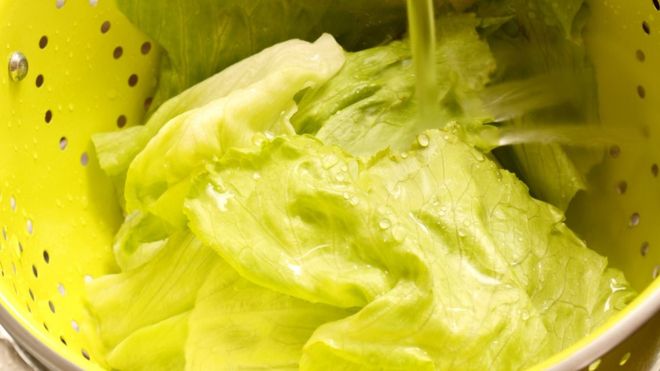 Tips expertos para lavar verduras y hortalizas correctamente