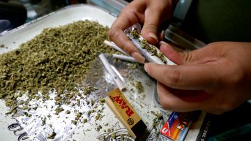 El empleado de una tienda de marihuana en Los Angeles prepara cirgarrillos de la droga para la venta. (Aurelia Ventura/ La Opinion)