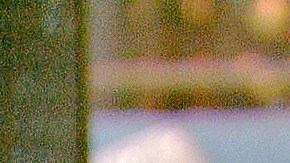 Shannen no reveló detalles sobre la operación.