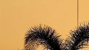 “Silver Clod” es el nombre del trasatlántico en donde dormirán los equipos de basquetbol de los EEUU.