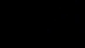 Trump reiteró en un mitin en Florida, que Obama es el "fundador" de ISIS.