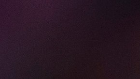 Salcedo participó en el Clásico Tapatío.