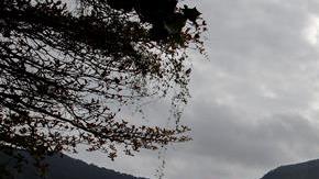 La Laguna Rodrigo de Freitas, sede del remo en Río 2016.
