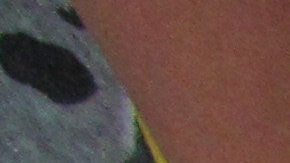 Los partidarios de Prop. 63 argumentan que en la actualidad cualquier persona con antecedentes violentos puede comprar municiones.