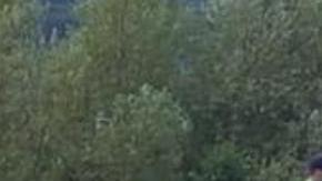 Grave accidente en Eslovenia cobró la vida de dos futbolistas.