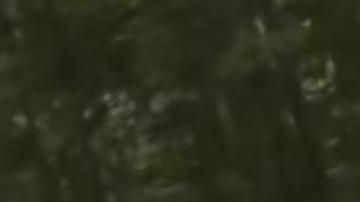 El momento de la grave caída de la holandesa Annemiek van Vleuten.