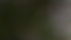 Lee Baca, exjefe del Departamento del Sheriff del condado de Los Ángeles. /GETTY