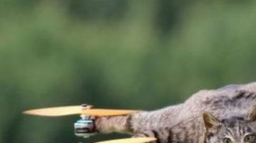 Jansen quiso hacerle un monumento a su gato mascota, Orville, que comparte su nombre con el pionero de la aviación Orville Wright.