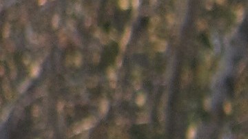 El fuego arrasó con varias estructuras y vehículos. /ALEJANDRO CANO, ESPECIAL PARA LA OPINIÓN