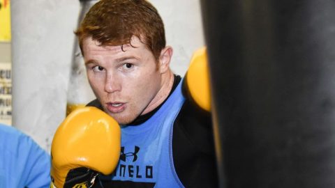'Canelo' Alvarez ya superó su lesión.
