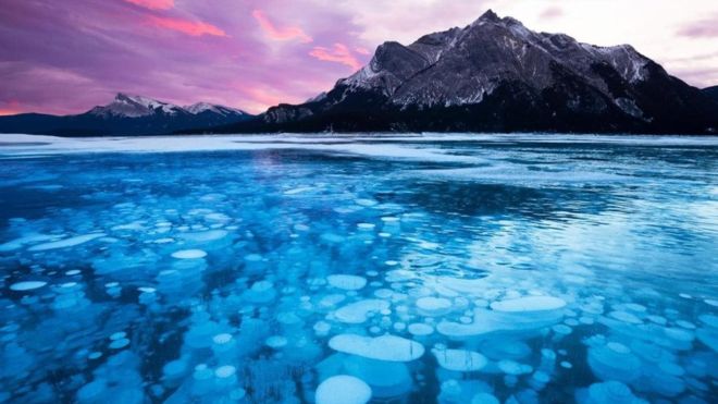 Estas extrañas burbujas gaseosas en los lagos de todo el Parque Nacional de Banff, en Canadá, o en el ccéano Ártico de Siberia.