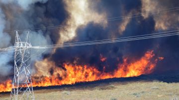 Las llamas ya abarcan más de 1,500 acres en las montañas de San Bernardino.