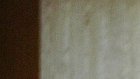 El vetrano actor sufrió un fallo cardiaco y renal.