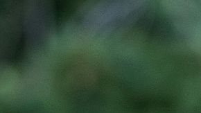 Meg Whitman es republicana para "apoya al candidato más capacitado".