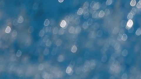 Michael Phelps continúa su participación en Río 2016 este lunes en el estilo mariposa, sus quintos Juegos Olímpicos.