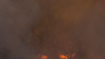 El incendio Blue Cut, en la ruta entre Los Ángeles y Las Vegas, se propagó rápido.